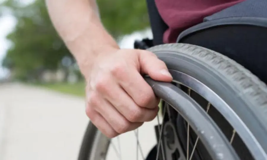 Sclerosi multipla: le cellule progenitrici che aiutano la guaina mielinica