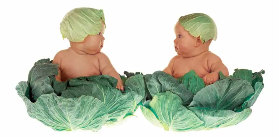 Dieta vegana pericolosa per i bambini: dove prendono l'energia?