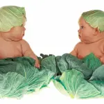 Dieta vegana pericolosa per i bambini: dove prendono l'energia?