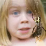 Paura dei ragni è la più diffusa: come curarla?