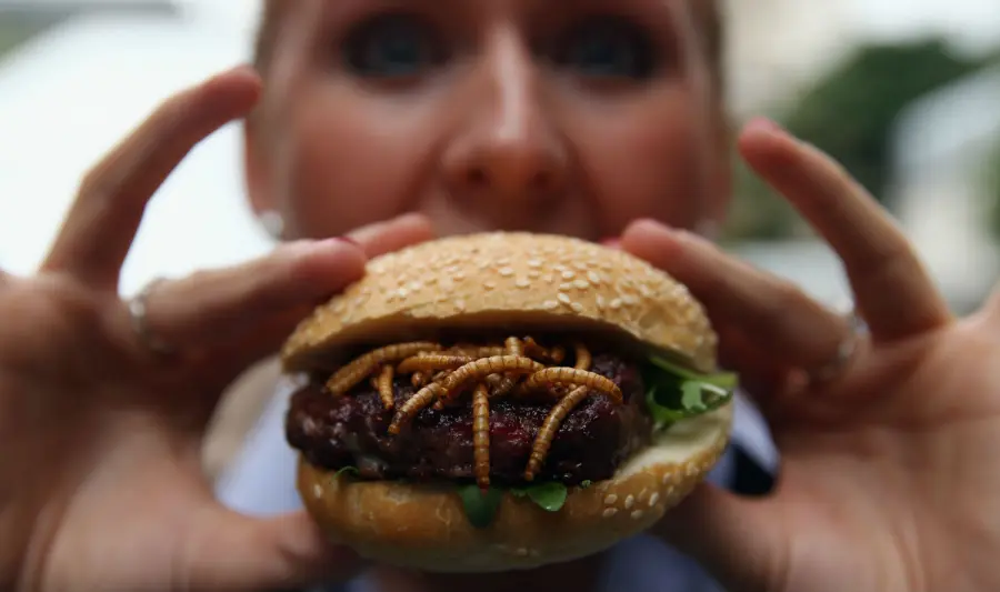 Mangiare insetti: perché il disgusto? Alimenti nutrienti e digeribili