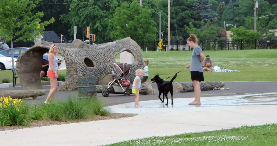 Parassita Toxocara causa epilessia e deficit cognitivo