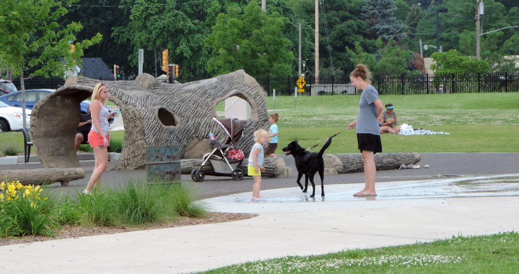 Parassita Toxocara causa epilessia e deficit cognitivo