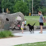 Parassita Toxocara causa epilessia e deficit cognitivo