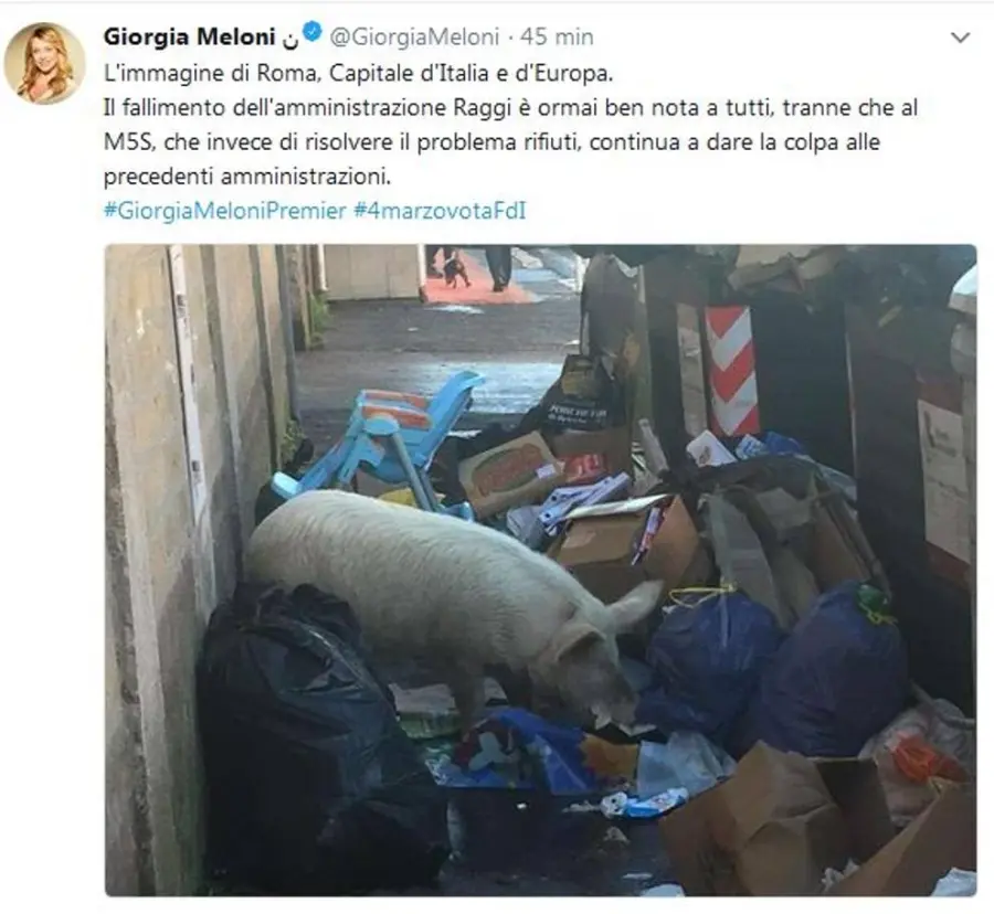 Maiale tra i rifiuti romani è dei Casamonica, Raggi replica alla Meloni
