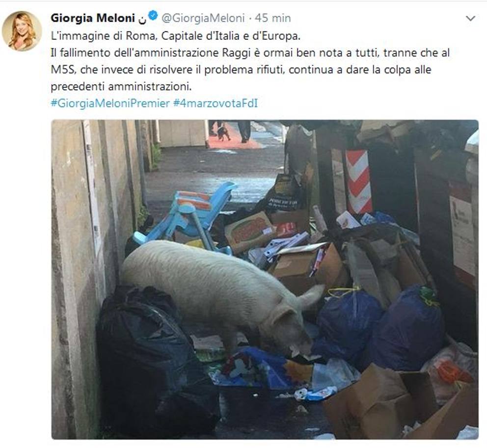 Maiale tra i rifiuti romani è dei Casamonica, Raggi replica alla Meloni