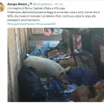 Maiale tra i rifiuti romani è dei Casamonica, Raggi replica alla Meloni