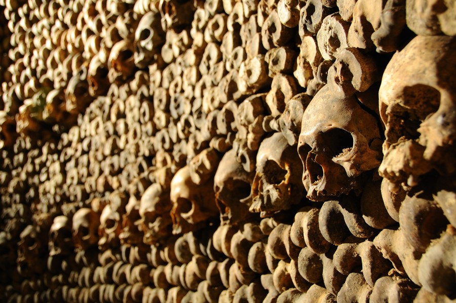 Peste nera diffusa dagli uomini, non dai ratti