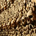 Peste nera diffusa dagli uomini, non dai ratti