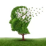 Ansia segnale dell'Alzheimer: accumulo di placche beta amiloidi