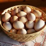 Uova fanno bene al cervello dei bambini: quante mangiarne?