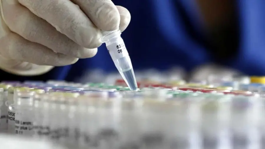 Nanoparticelle d'oro neutralizzano Hiv, Epatite e Papilloma: nuova frontiera terapeutica