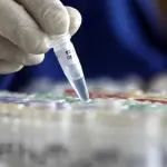 Nanoparticelle d'oro neutralizzano Hiv, Epatite e Papilloma: nuova frontiera terapeutica