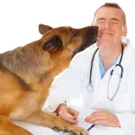 Cane scova tumori col fiuto: Liù batte macchinari