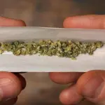 'Ho preso una sigaretta da un alieno': bimbo aveva cannabis nel sangue