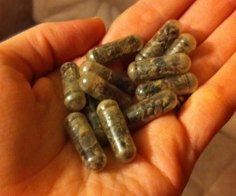 Mangiare placenta dopo il parto: una moda salutare?