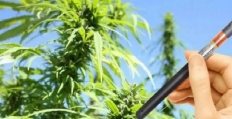 Lo “spinello elettronico” è diventato legale