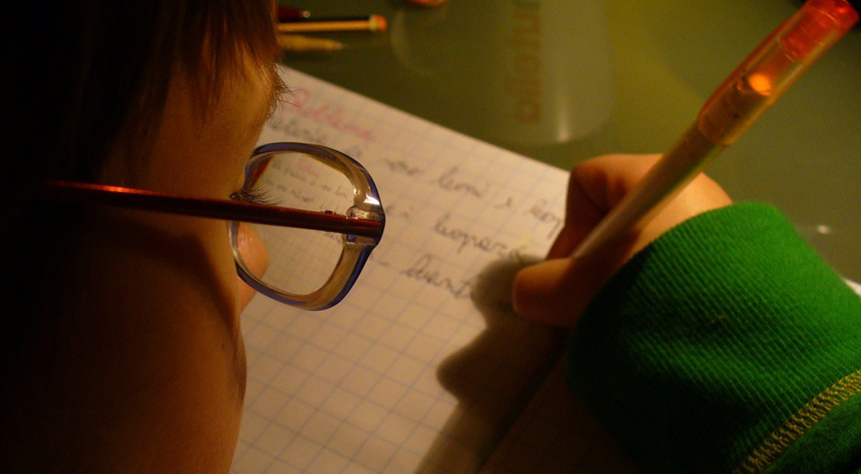 Zebra si scrive con due 'b': maestra ignorante? No, disattenzione