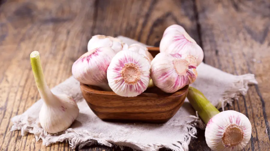Aglio neutralizza batteri e infezioni: potente antibiotico naturale