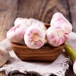 Aglio neutralizza batteri e infezioni: potente antibiotico naturale