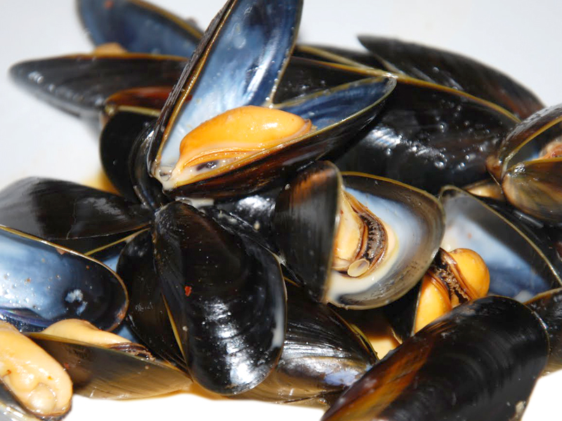 Cozze vive e tossiche: allarme escherichia coli, lotti ritirati