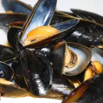 Cozze vive e tossiche: allarme escherichia coli, lotti ritirati