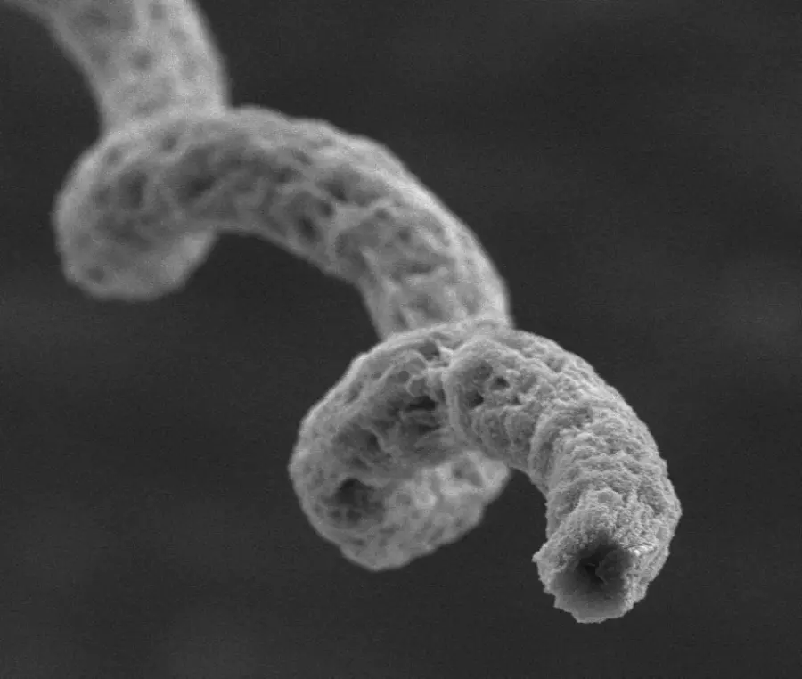 Robot nel corpo per mettere ko il cancro: speranze nei bioibridi