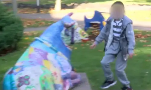 Bambino 'farfalla' salvato dal genio italiano, Germania non sapeva che fare