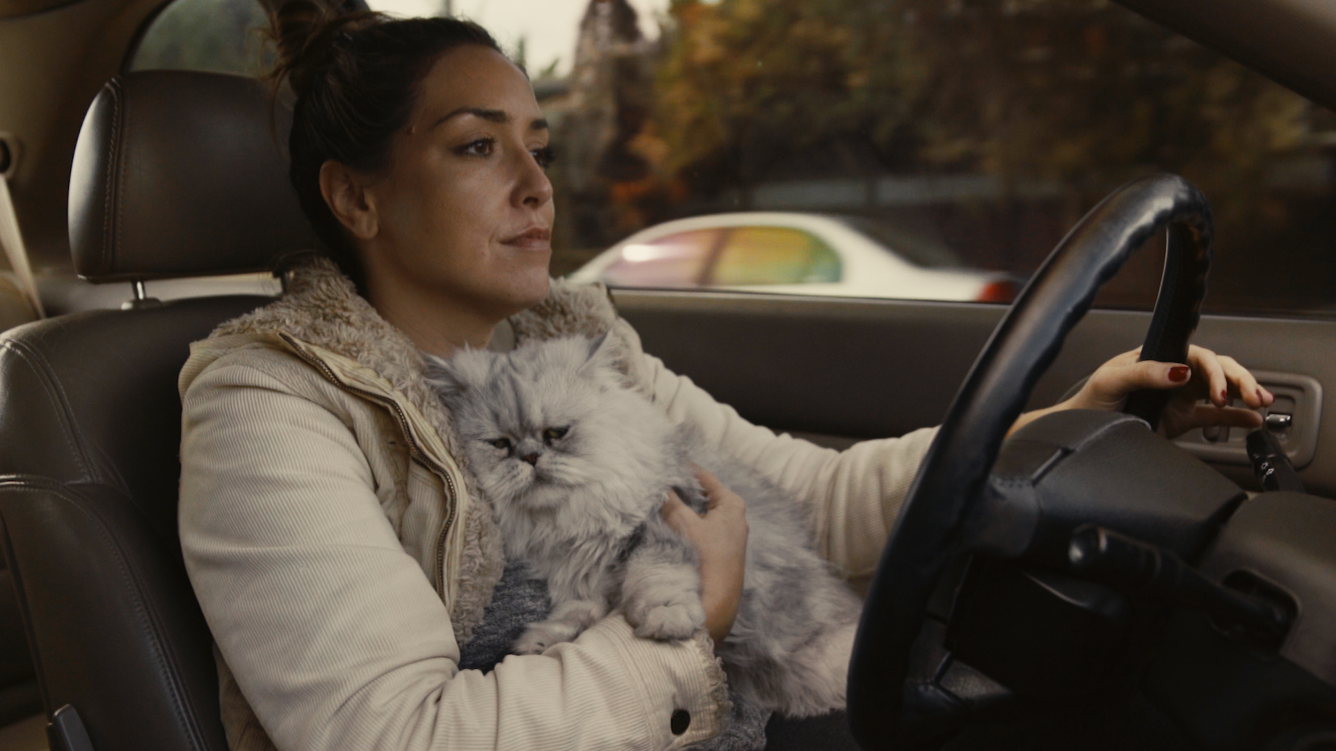 Vende auto vecchia su eBay con uno spot geniale: offerti centomila dollari