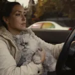 Vende auto vecchia su eBay con uno spot geniale: offerti centomila dollari