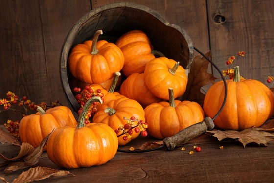 Halloween: tutto il bello ed il buono della zucca