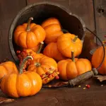 Halloween: tutto il bello ed il buono della zucca