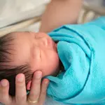 Mangiare la placenta dopo il parto: vantaggi e svantaggi