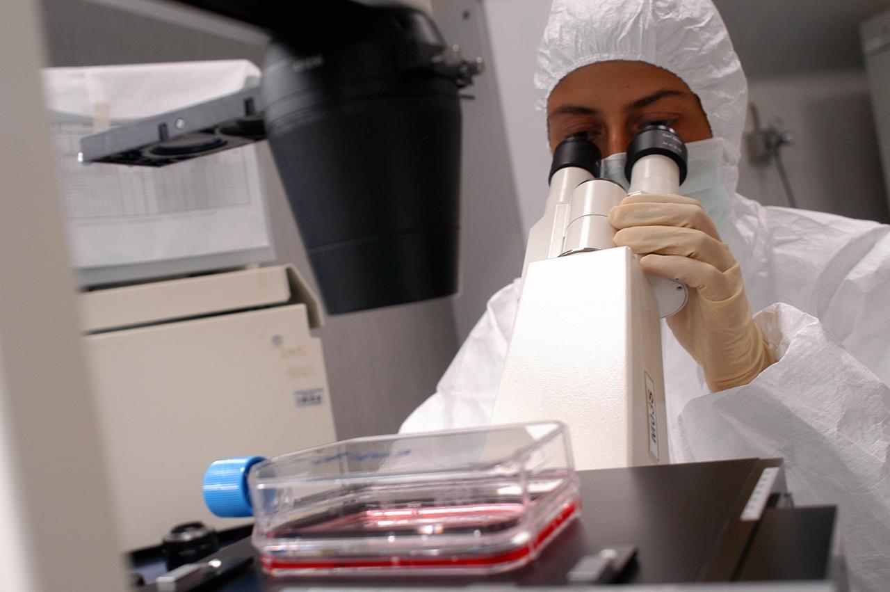 Batteri super resistenti agli antibiotici: si morirà per banali ferite?