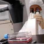 Batteri super resistenti agli antibiotici: si morirà per banali ferite?