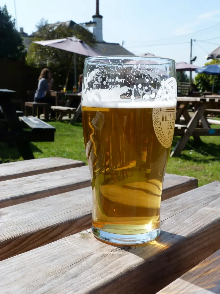 Bere birra fa urinare: ecco perché non andare subito in bagno