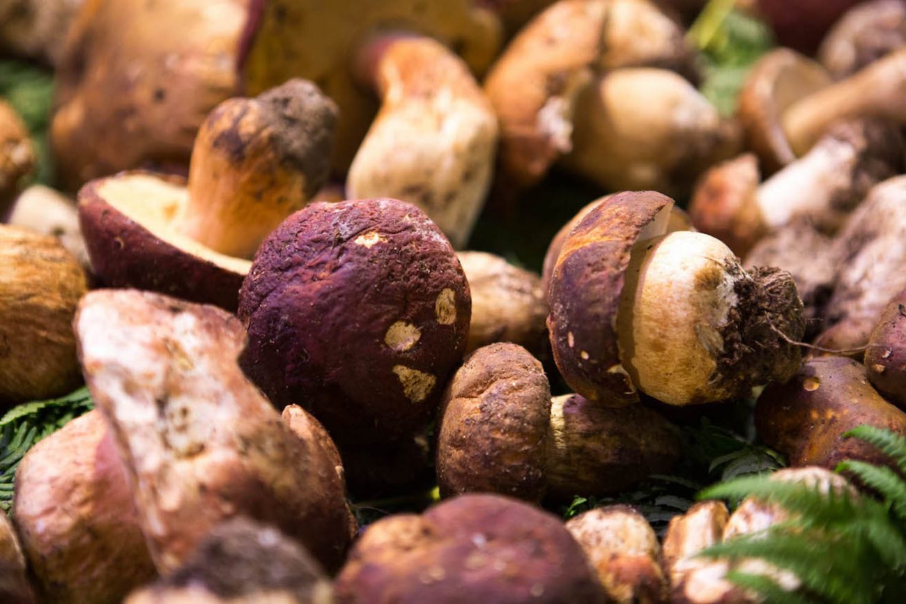 Funghi porcini spacciati per italiani ma di origine estera, la truffa
