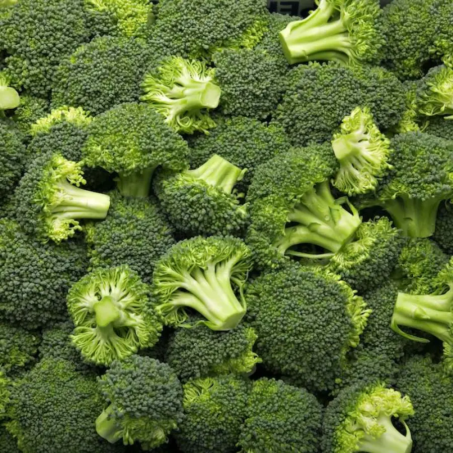 Broccoli, scoperto potere anti-tumore: merito di una ricerca italiana