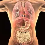 Telecamera che può vedere attraverso il corpo umano