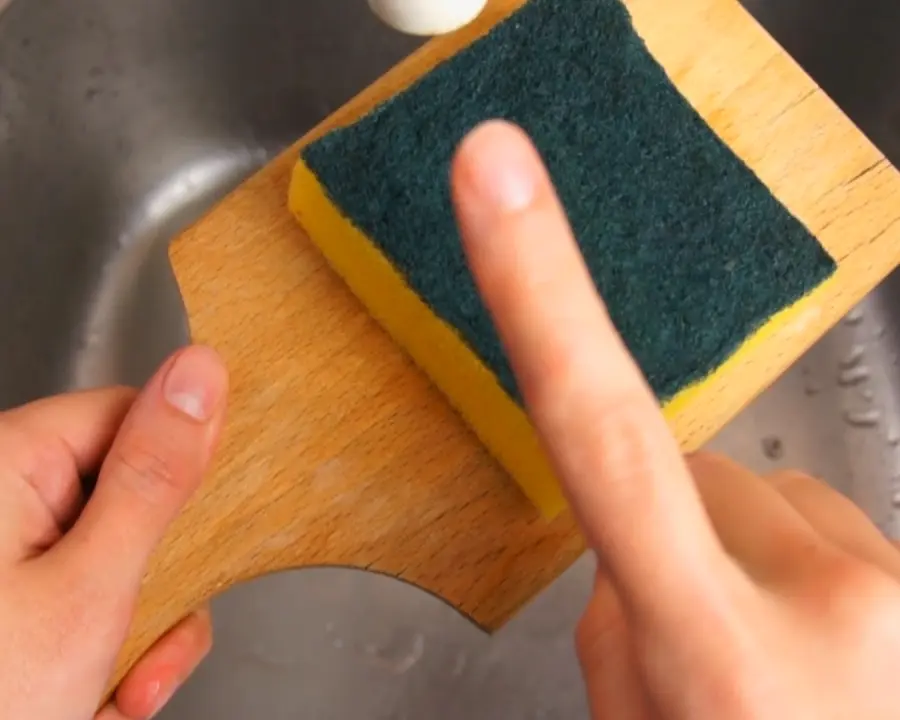 Spugne per piatti piene di batteri: usarle equivale a manipolare feci