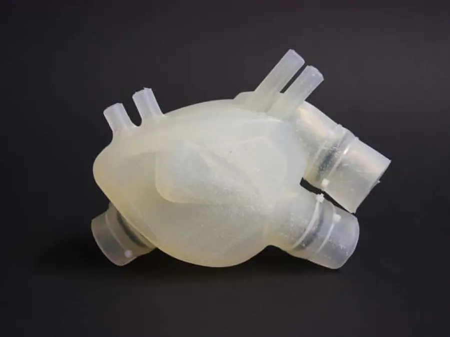 Cuore artificiale in silicone creato con stampante 3D - Video