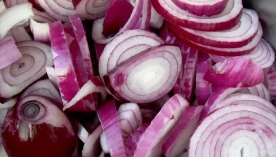 Cipolle rosse contro tumore al seno e al colon