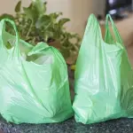 Bruco mangia plastica: la scoperta di una biologa italiana