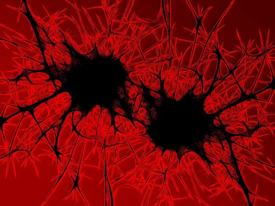 La Meningite ancora causa di morte, che cos'è e i sintomi