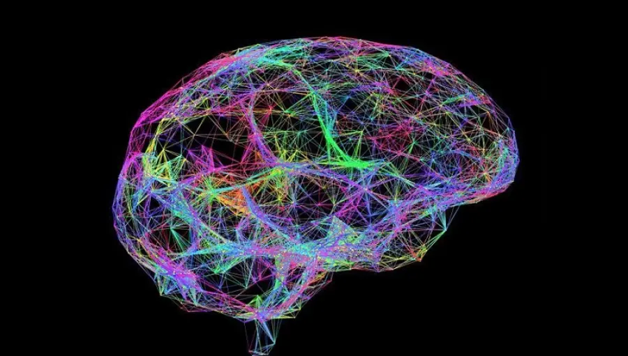 Cervello, lievi impulsi elettrici possono bloccare il declino della memoria