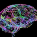 Cervello, lievi impulsi elettrici possono bloccare il declino della memoria