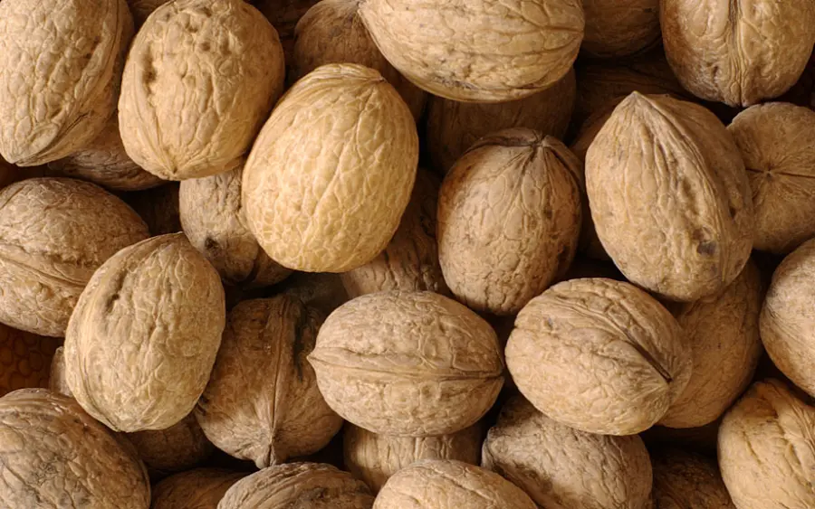 Noci aiutano a vivere meglio: alleate contro infarti e tumori