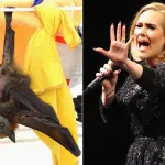 Adele terrorizzata dal pipistrello a Città del Messico