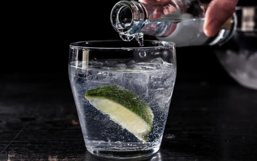Chi ama il gin tonic è un pazzo: strambo studio austriaco