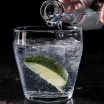 Chi ama il gin tonic è un pazzo: strambo studio austriaco